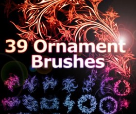 Women make-up Vector