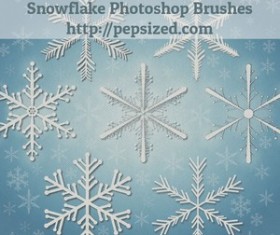 Snwflake Phtoshop Brushes Photoshop Brushes