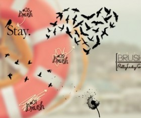 Pack de Brushes Photoshop Brushes