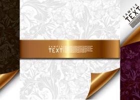 Shading and roll angle backgrounds