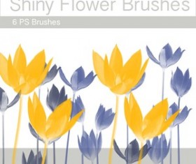 Shiny Flower Brushes Photoshop Brushes