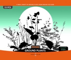 Ground Plants Selection Photoshop Brushes