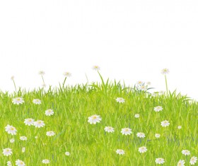 Summer Grass vector background 05
