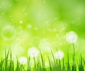 Shiny Summer background vector 07