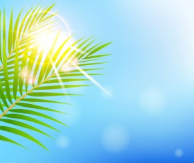 Shiny Summer background vector 09