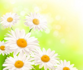 Shiny Summer background vector 10
