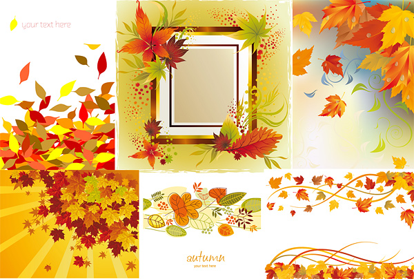 Autumn maple leaf border vector