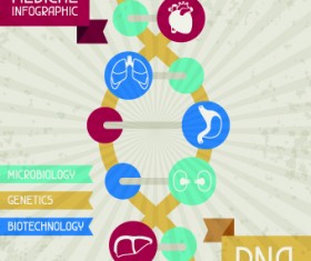 Business Infographic creative design 72