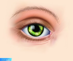 Different Eyes design vector 06