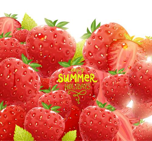 Summer Fruits backgrounds vector 01