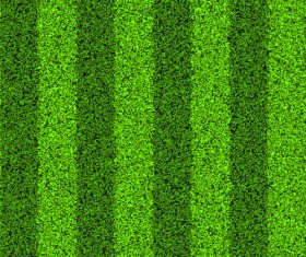 Green Grass design elements vector 04