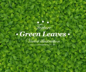 Green Leaves design vector