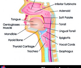 Creative Biology with Medicine infographic vector 01
