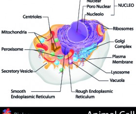 Creative Biology with Medicine infographic vector 02