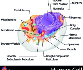 Creative Biology with Medicine infographic vector 03