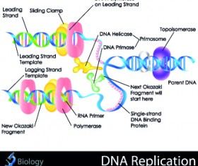 Creative Biology with Medicine infographic vector 04