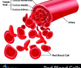Creative Biology with Medicine infographic vector 05