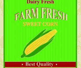 Menu posters design vector 03