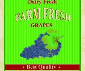 Menu posters design vector 04