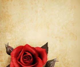 Roses and Vintage background vector 01