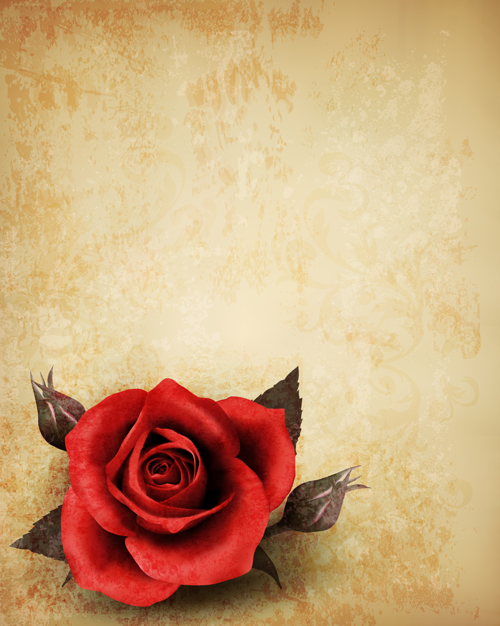 Roses and Vintage background vector 01