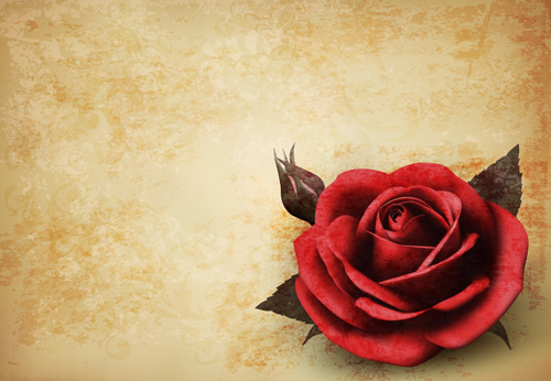Roses and Vintage background vector 05