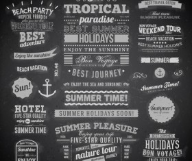 Summer Holidays label ornaments and logos vector 01