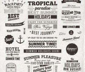Summer Holidays label ornaments and logos vector 04