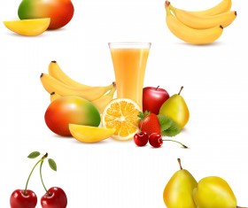 Vivid Fruits design vector 01