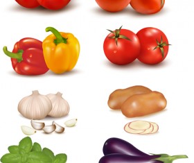 Vivid Vegetables design vector 01