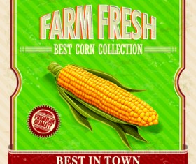 Creative Food poster design vector 06