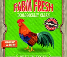 Creative Food poster design vector 07