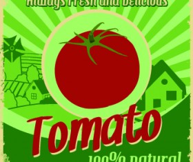 Creative Food poster design vector 08