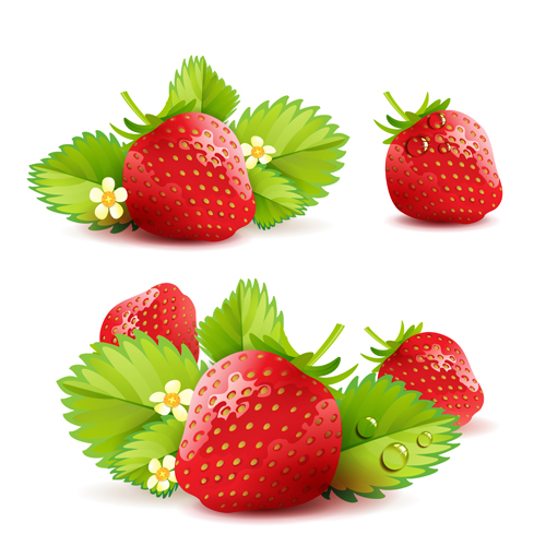 Various Fresh fruits design vector 01
