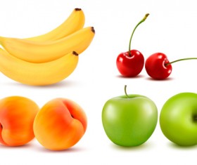 Various Fresh fruits design vector 02