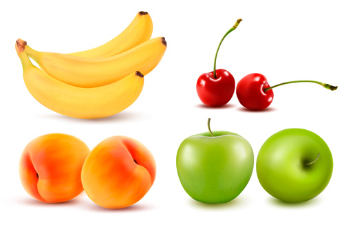 Various Fresh fruits design vector 02