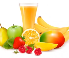 Various Fresh fruits design vector 03