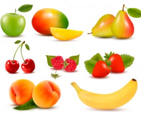Various Fresh fruits design vector 04