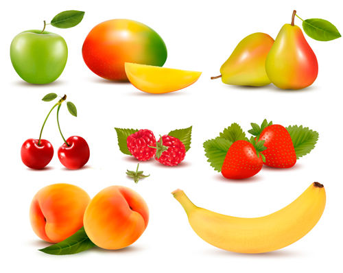 Various Fresh fruits design vector 04