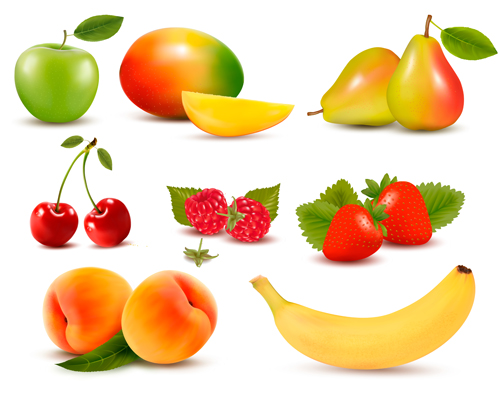 Download Various Fresh fruits design vector 04 free download