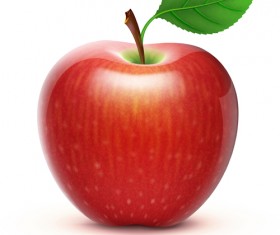 Various Fresh fruits design vector 05