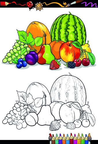 Color with sketch Fruit and vegetables vector 03