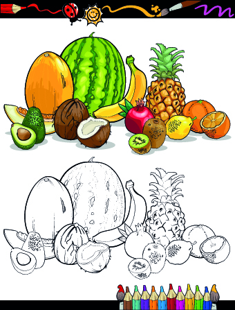Color with sketch Fruit and vegetables vector 04
