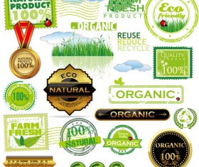 Green labels design vector 01