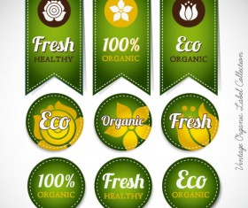 Green labels design vector 02
