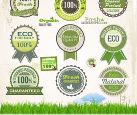 Green labels design vector 03