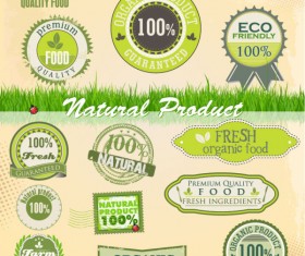 Green labels design vector 04