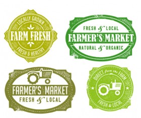 Green labels design vector 05