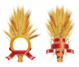 Golden Wheat with Ribbon vector