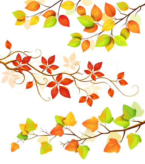 Colored Leaf vector set 02